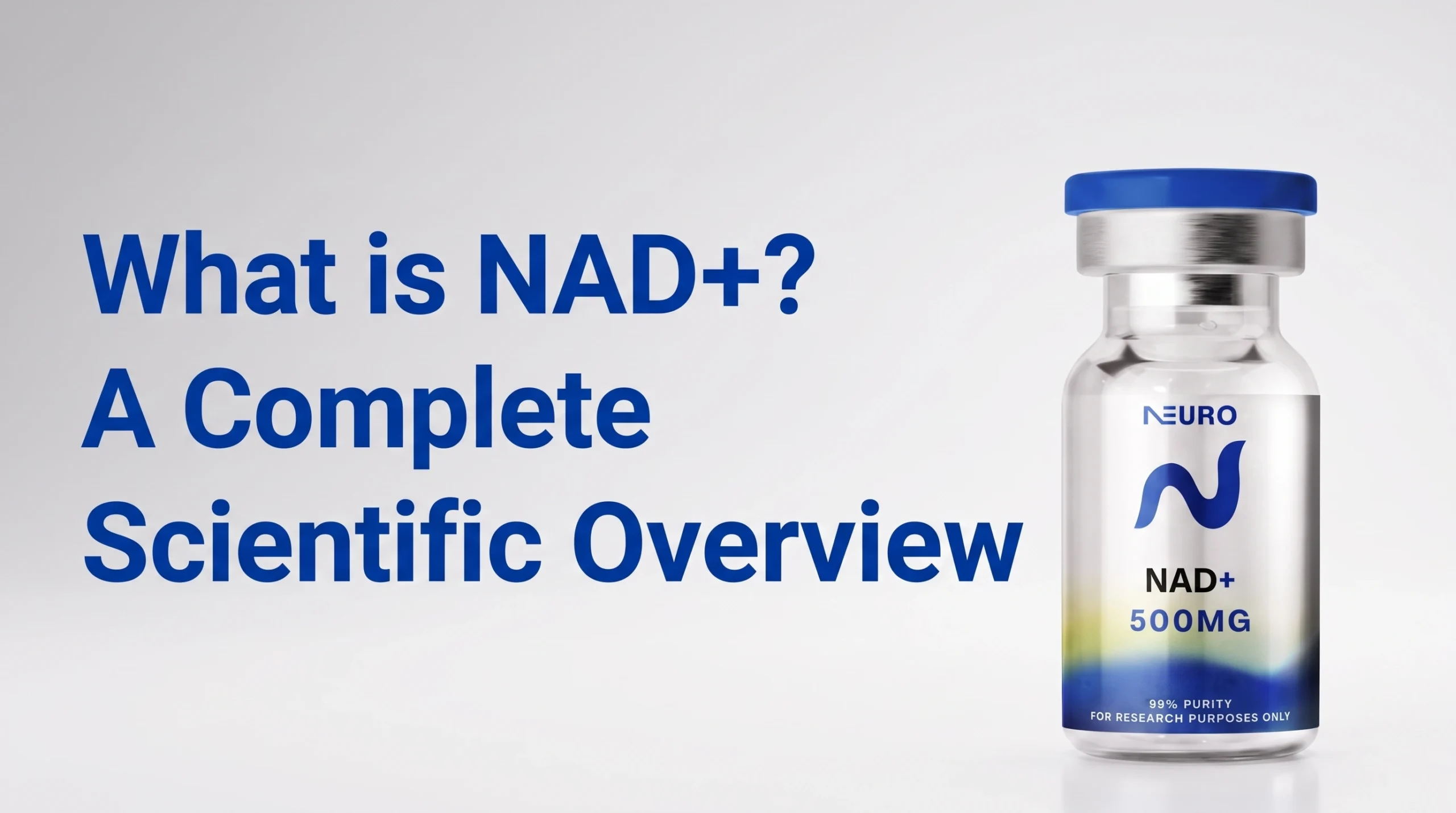 What is NAD+